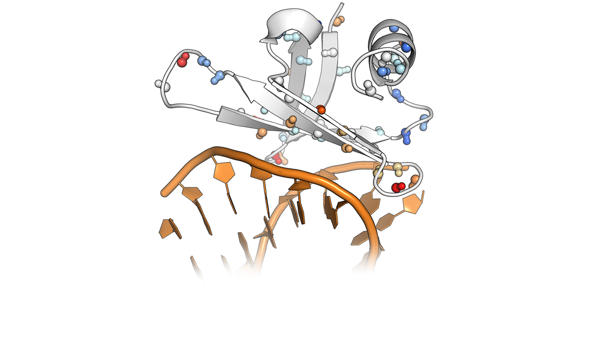 Structural Biology Lab
